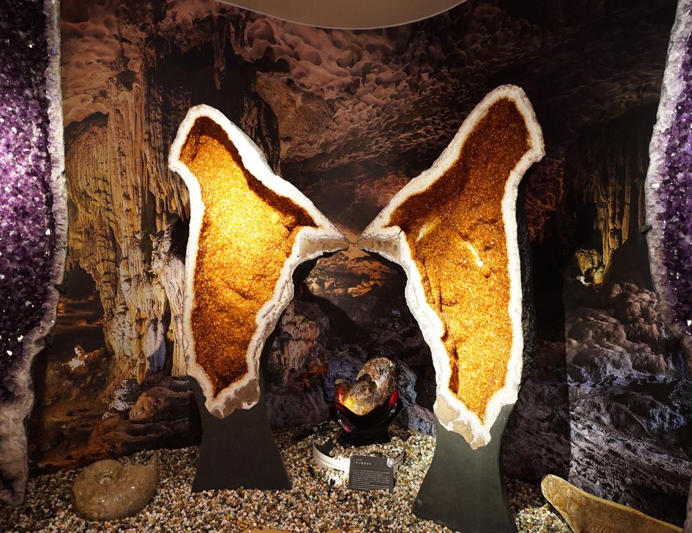 ทัวร์ญี่ปุ่น THE NEW ROUTE FOR SAKURA & ONSEN LOVERS | COMPAXWORLD