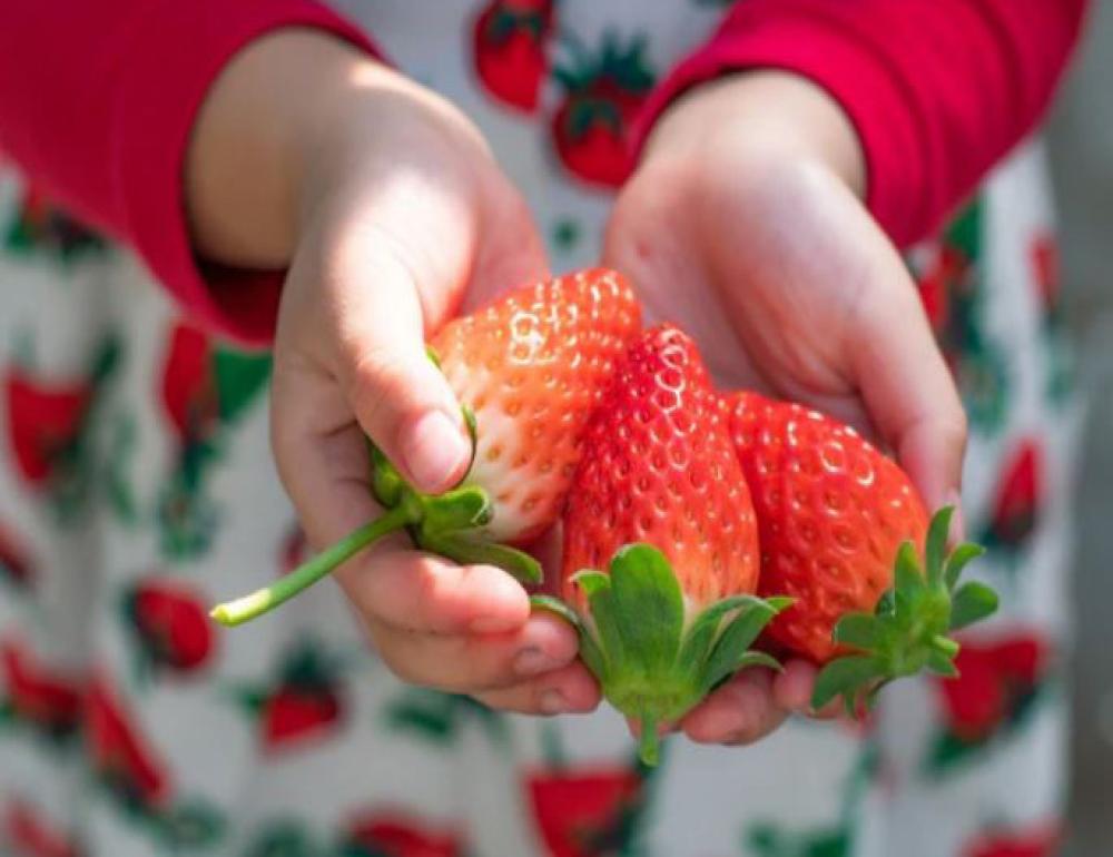 ทัวร์ญี่ปุ่น UNSEEN SAKURA & SUNSET WITH AMA SAN | COMPAXWORLD