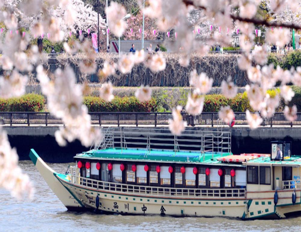 ทัวร์ญี่ปุ่น CHERRY BLOSSOM FESTIVALS & PRIVATE ONSEN | COMPAXWORLD