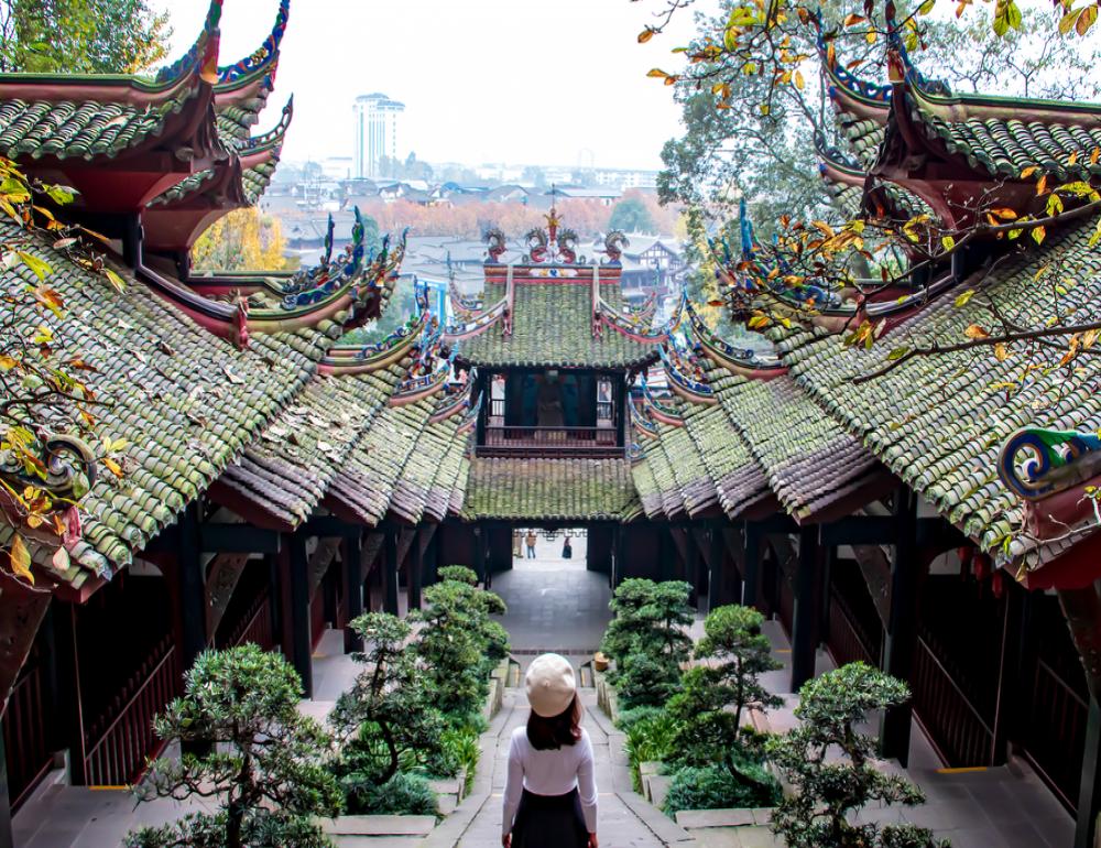 ทัวร์จีน PREMIUM CHINA (เฉิงตู - ตูเจียงเยี่ยน - ปี้เผิงโกว) | COMPAXWORLD