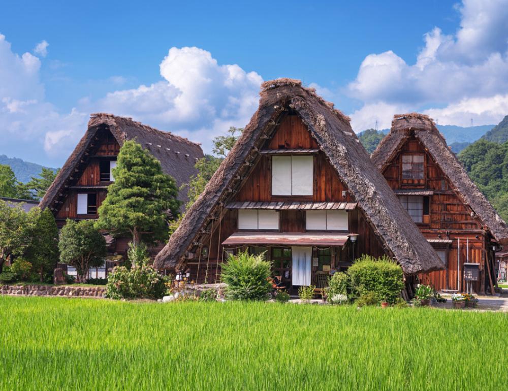 ทัวร์ญี่ปุ่น SNOW WALL JAPAN ALPS & PINKMOSS | COMPAXWORLD