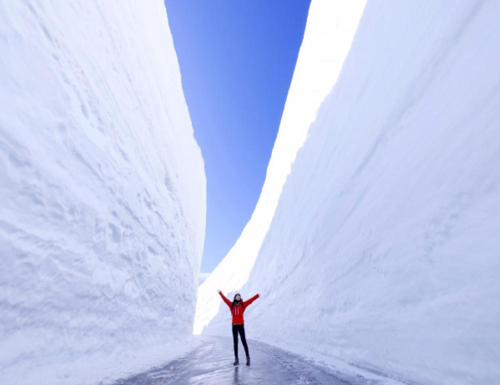 ทัวร์ญี่ปุ่น SNOW WALL JAPAN ALPS & PINKMOSS | COMPAXWORLD