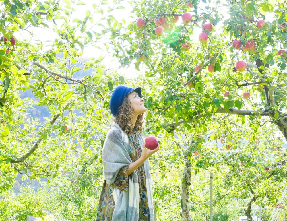 ทัวร์ญี่ปุ่น AUTUMN HOKKAIDO JOZANKEI (HOHEIKYO) & PRIVATE ONSEN | COMPAXWORLD