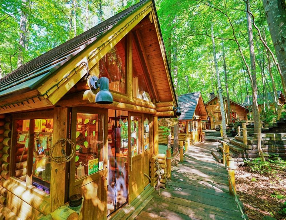 ทัวร์ญี่ปุ่น COOL HOKKAIDO GETAWAY | COMPAXWORLD