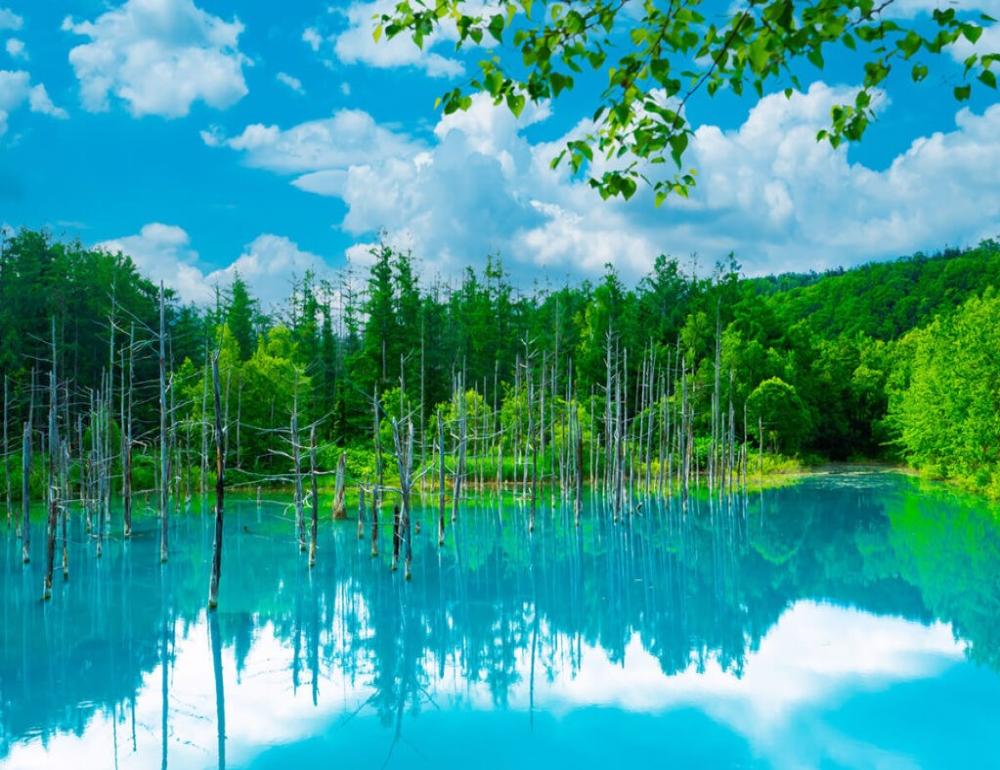 ทัวร์ญี่ปุ่น COOL HOKKAIDO GETAWAY | COMPAXWORLD