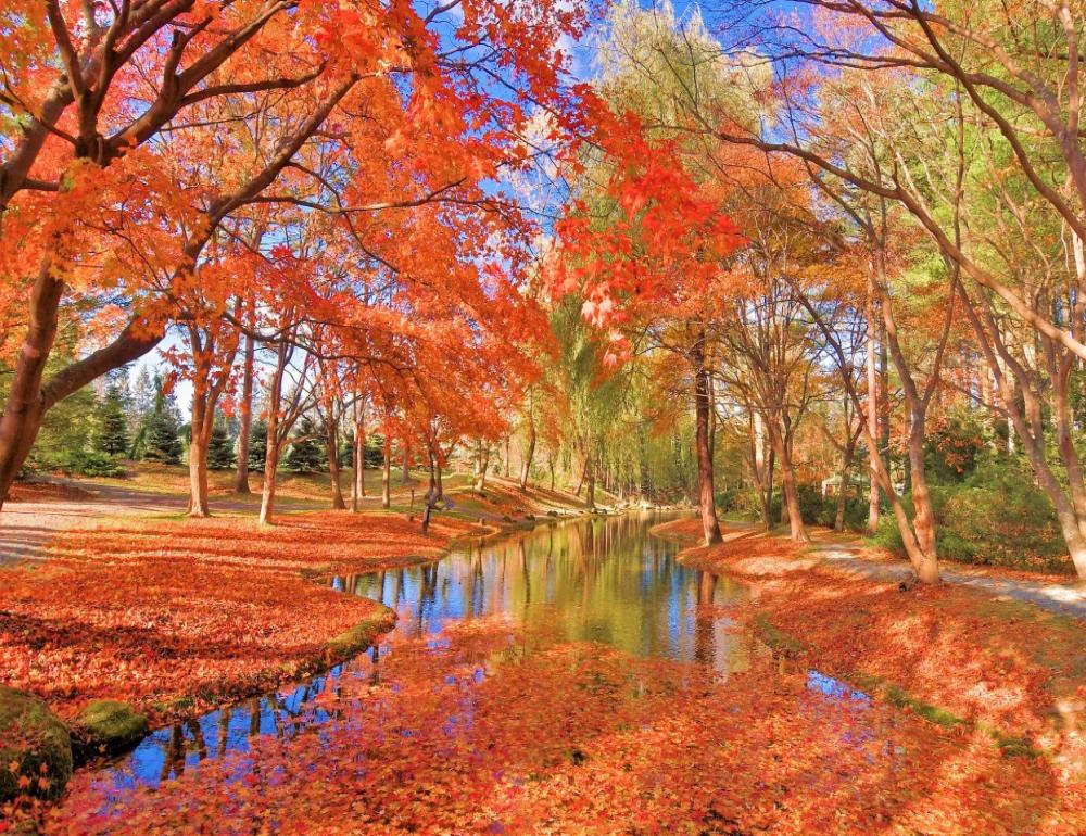 ทัวร์ญี่ปุ่น A NEW ROUTE IN HOKKAIDO BY TG | COMPAXWORLD