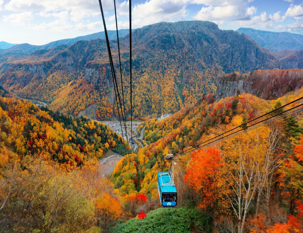 ทัวร์ญี่ปุ่น A NEW ROUTE IN HOKKAIDO BY TG | COMPAXWORLD
