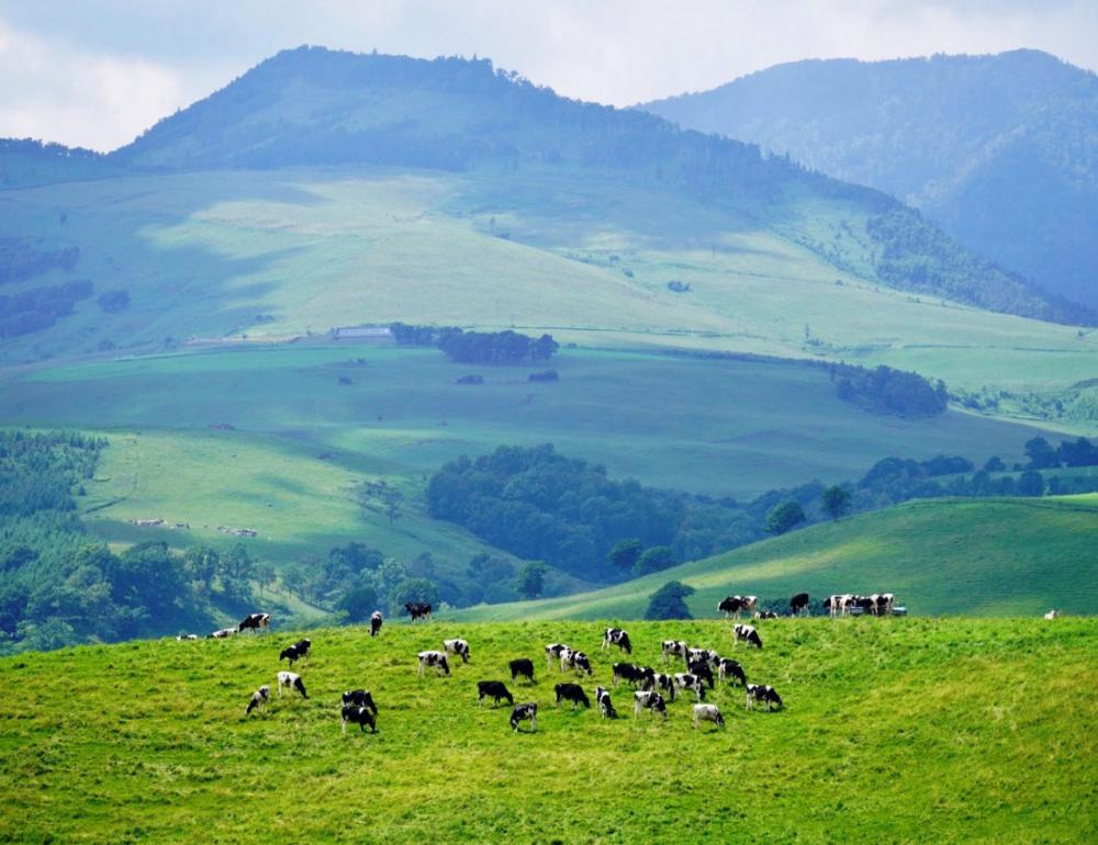 ทัวร์ญี่ปุ่น A NEW ROUTE IN HOKKAIDO BY TG | COMPAXWORLD