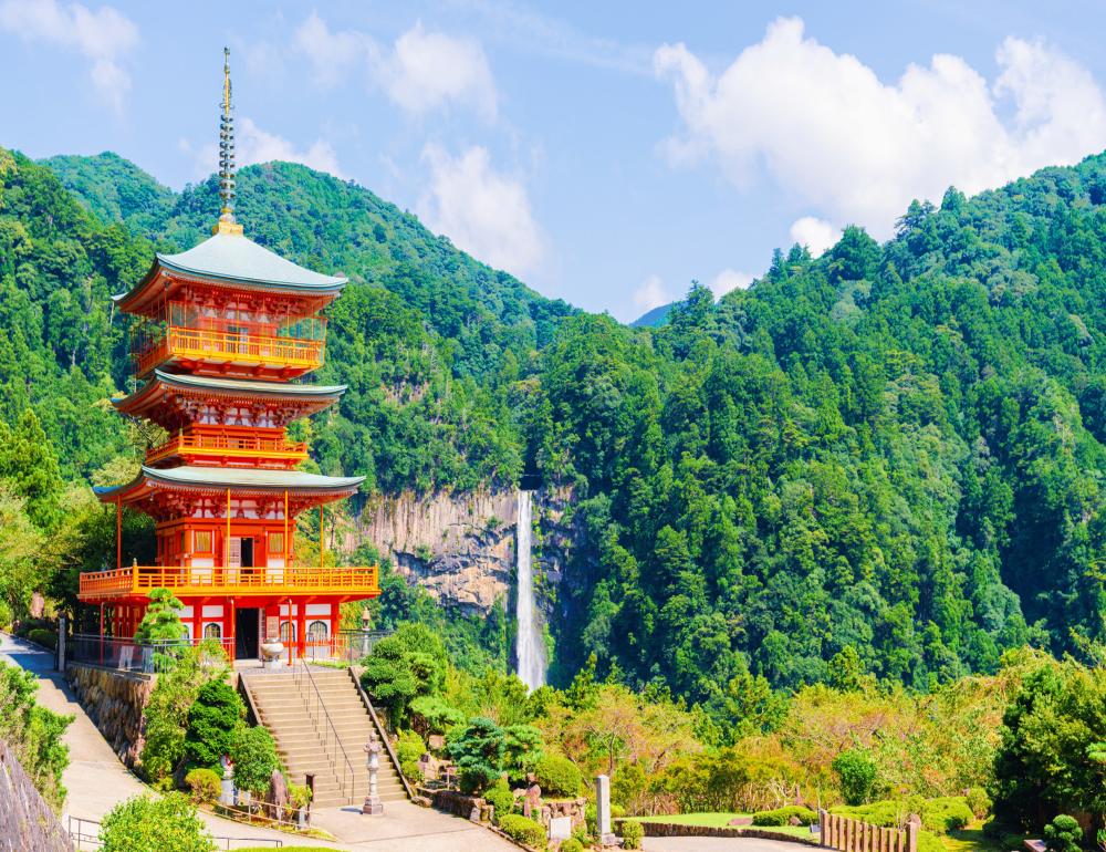 ทัวร์ญี่ปุ่น LITE OSAKA - WAKAYAMA | COMPAXWORLD