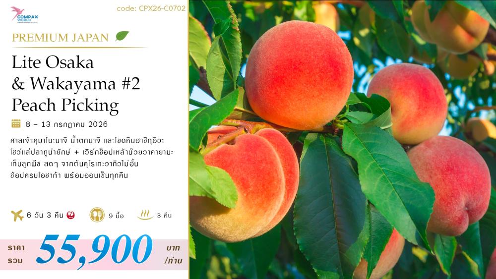 ทัวร์ญี่ปุ่น LITE OSAKA - WAKAYAMA | COMPAXWORLD
