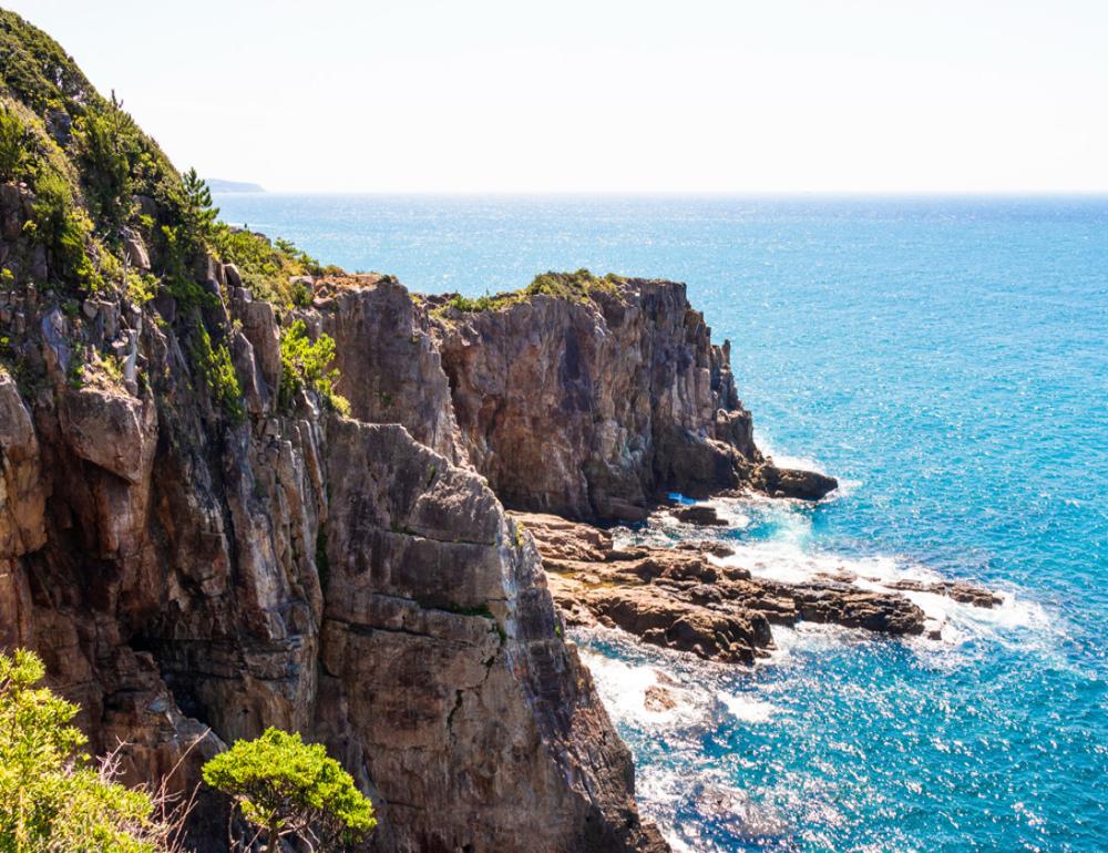 ทัวร์ญี่ปุ่น LITE OSAKA - WAKAYAMA | COMPAXWORLD