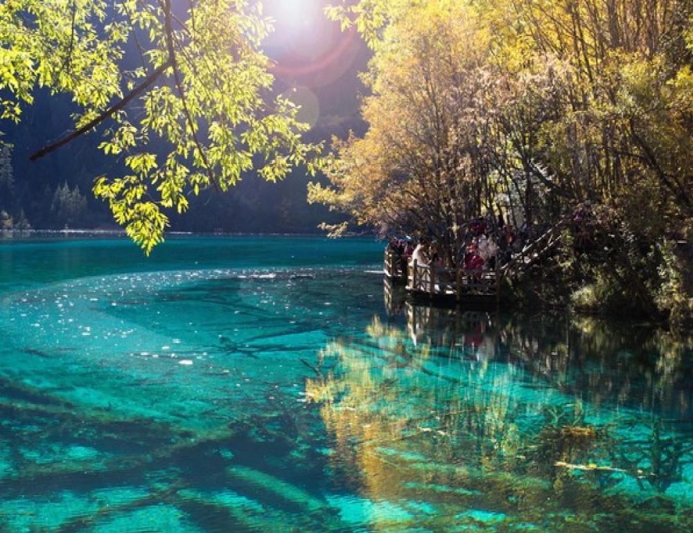 ทัวร์จีน PREMIUM CHINA IN AUTUMM  (เฉิงตู - หวงหลง - จิ่วจ้ายโกว) | COMPAXWORLD