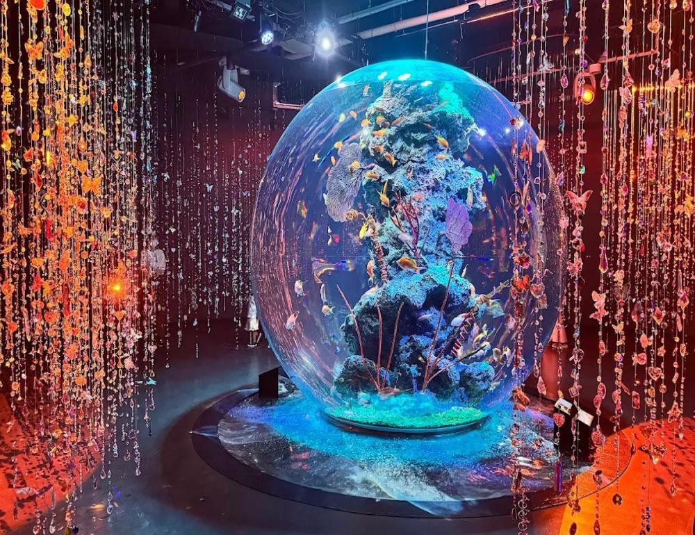 ทัวร์ญี่ปุ่น SPECIAL LITE (USJ & SHINE MUSCAT) | COMPAXWORLD