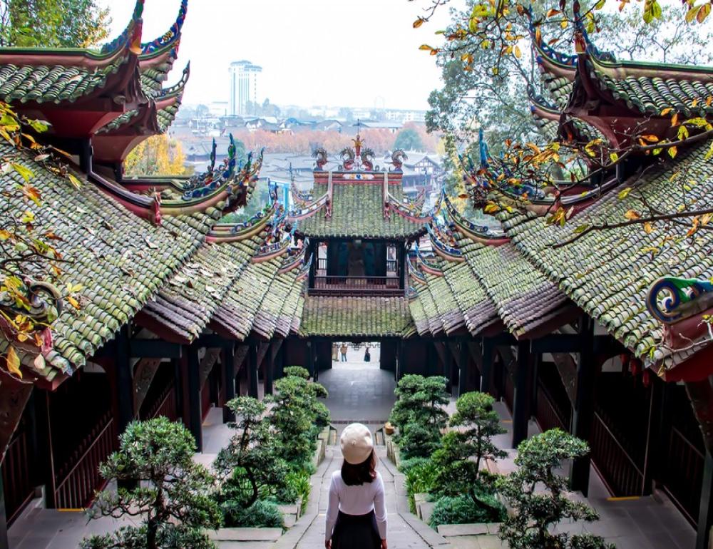 ทัวร์จีน PREMIUM CHINA (เฉิงตู-ตูเจียงเยี่ยน-ปี้เผิงโกว) | COMPAXWORLD