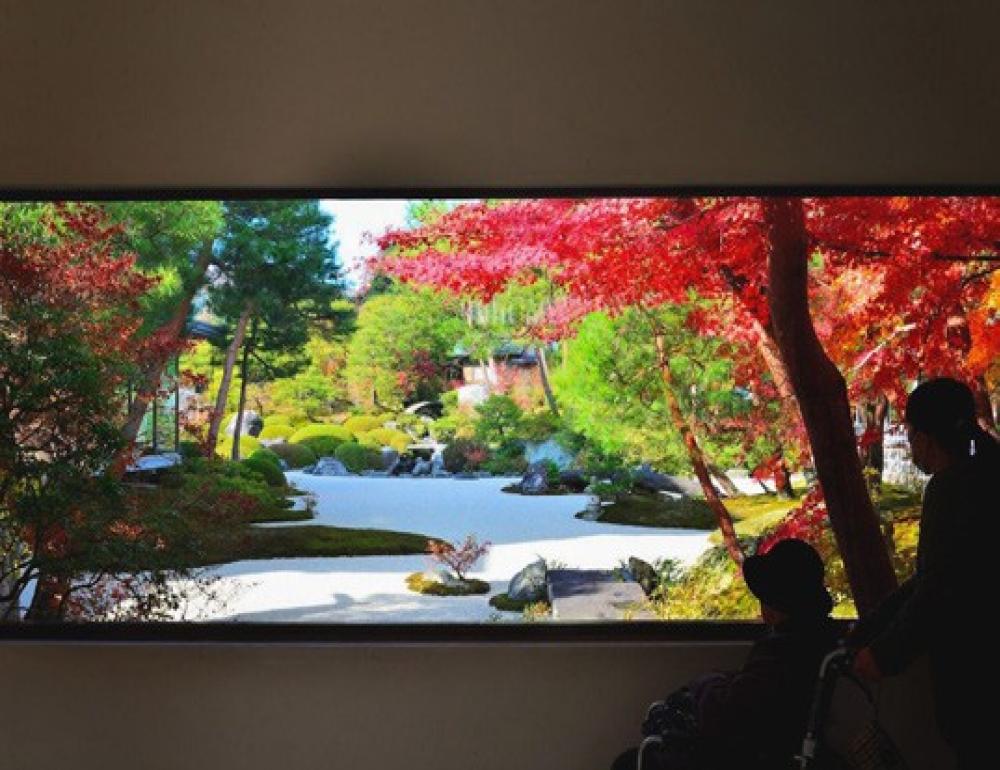 ทัวร์ญี่ปุ่น AUTUMN UNSEEN AT TOTTORI AND SHIMANE | COMPAXWORLD