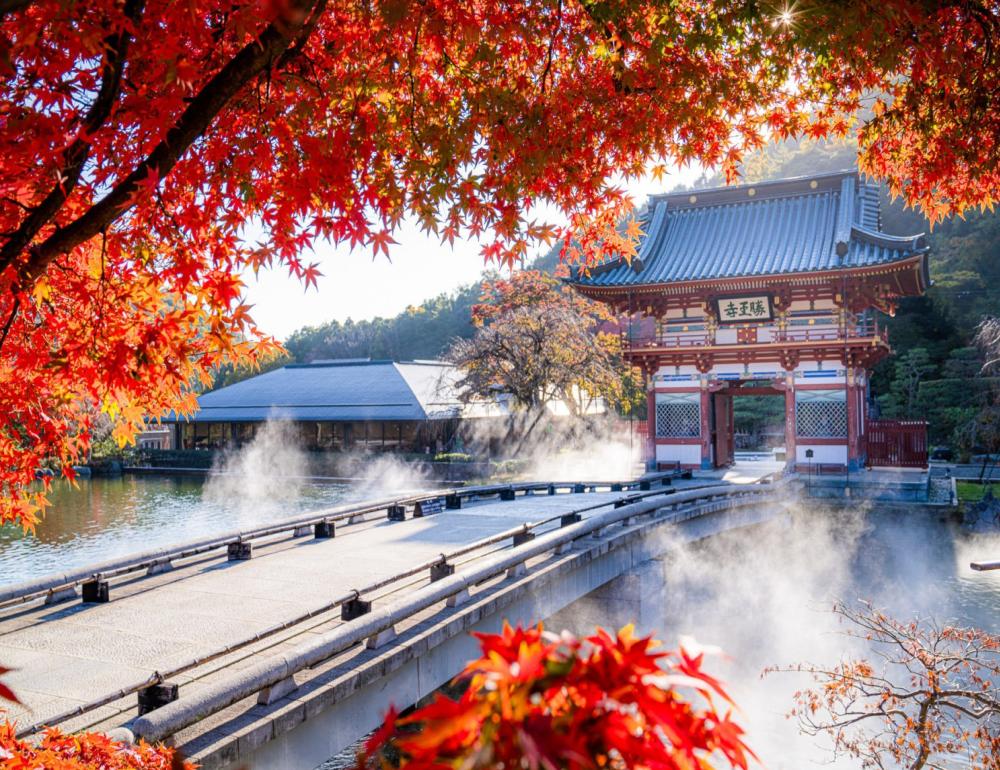 ทัวร์ญี่ปุ่น AUTUMN UNSEEN AT TOTTORI AND SHIMANE | COMPAXWORLD