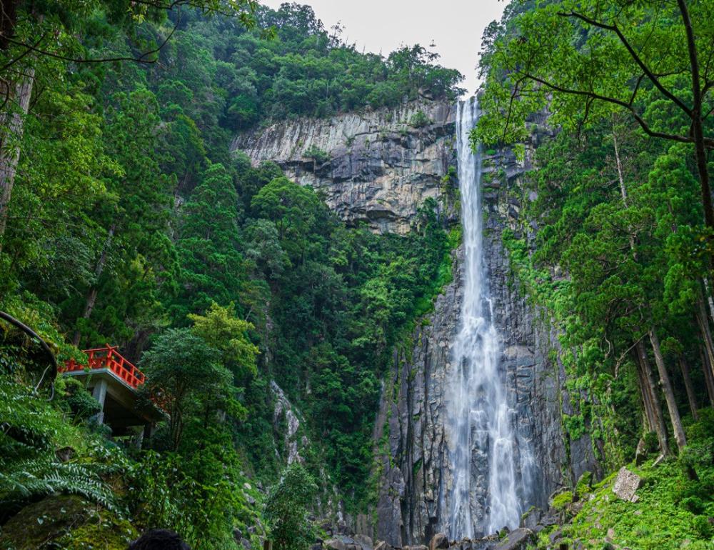 ทัวร์ญี่ปุ่น AUTUMN HEALING IN NATURE AND KAKI GARI | COMPAXWORLD