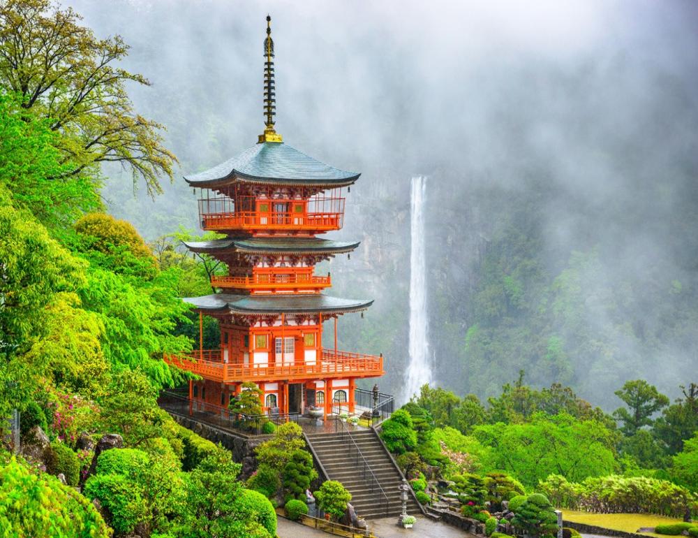 ทัวร์ญี่ปุ่น AUTUMN HEALING IN NATURE AND KAKI GARI | COMPAXWORLD