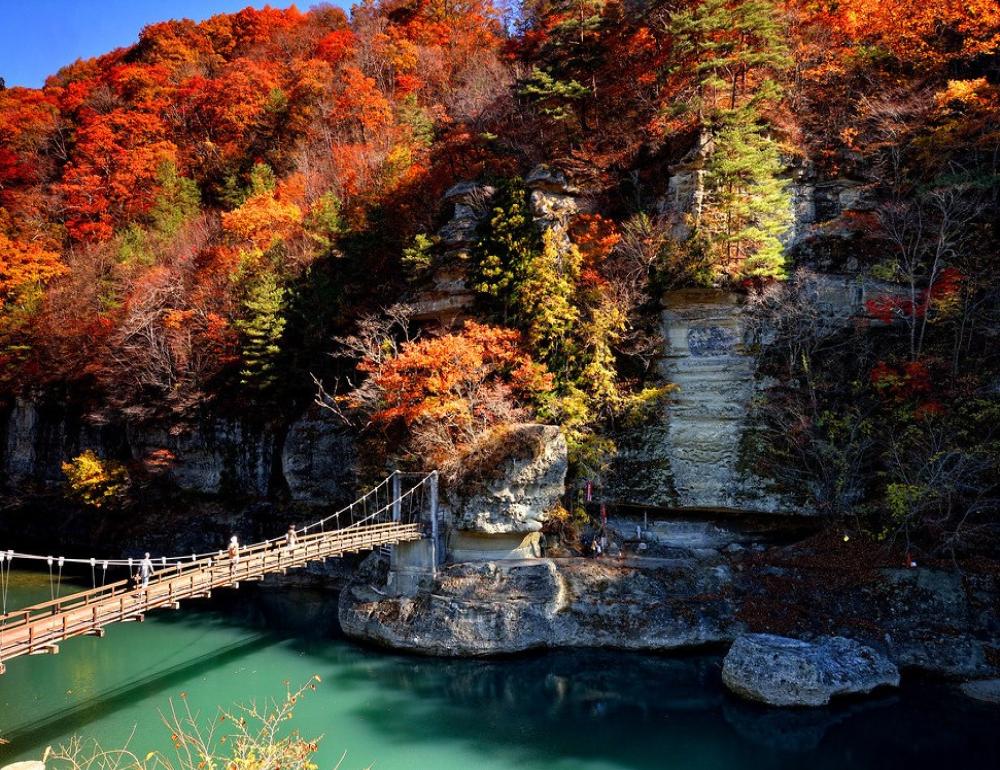 ทัวร์ญี่ปุ่น NIKKO TOKYO AND TOHOKU AUTUMN ESCAPE | COMPAXWORLD
