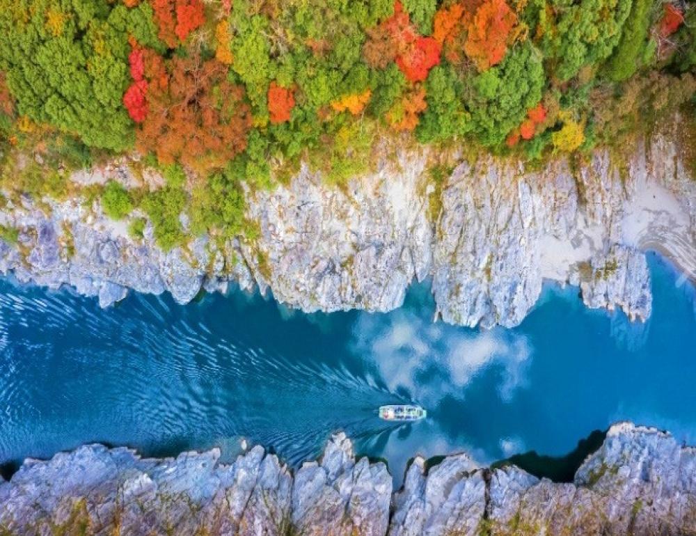 ทัวร์ญี่ปุ่น SHIKOKU AUTUMN COLORS AND SENNEN MONOGATARI TRAIN | COMPAXWORLD