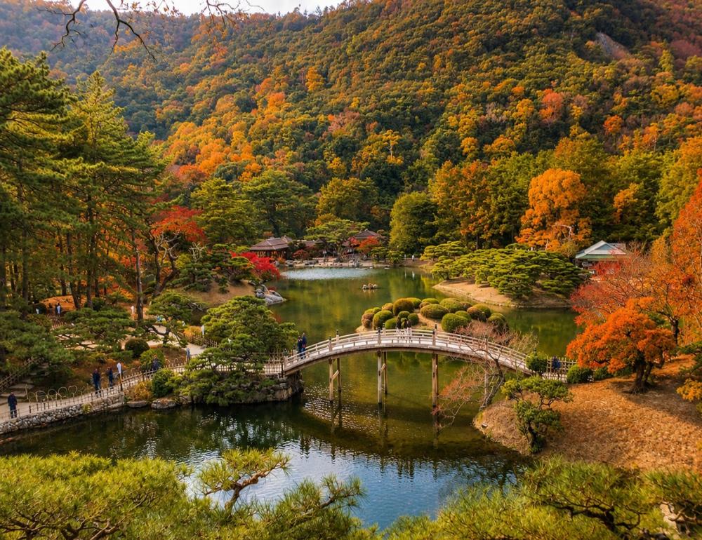 ทัวร์ญี่ปุ่น SHIKOKU AUTUMN COLORS AND SENNEN MONOGATARI TRAIN | COMPAXWORLD