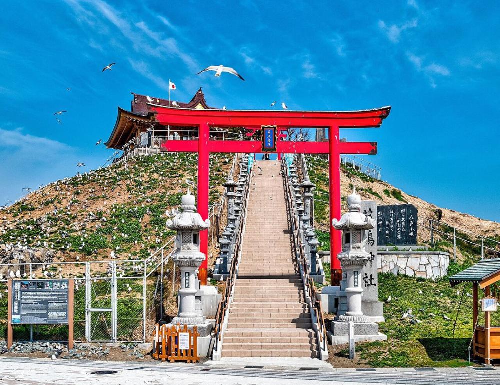 ทัวร์ญี่ปุ่น OIRASE OPEN TOP BUS TOUR | COMPAXWORLD