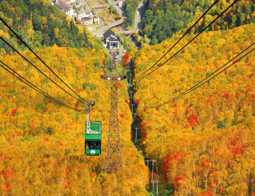 ทัวร์ญี่ปุ่น HOKKAIDO AUTUMN SLOW JOURNEY | COMPAXWORLD
