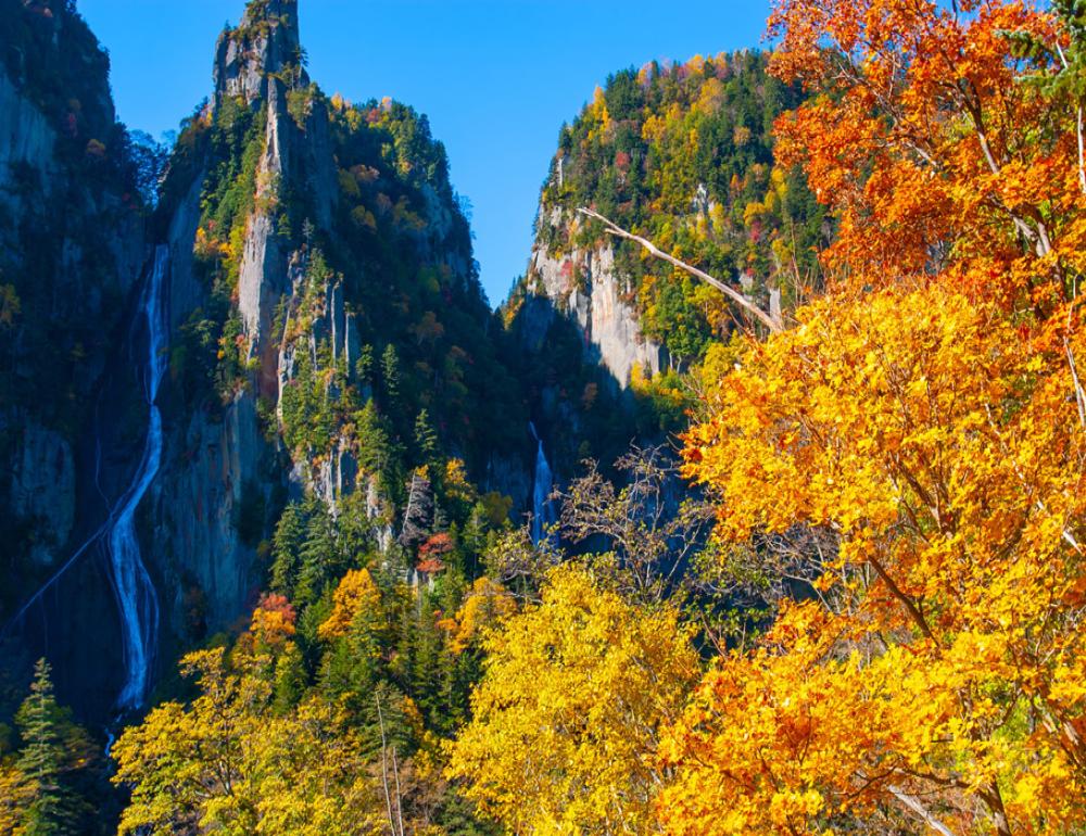 ทัวร์ญี่ปุ่น HOKKAIDO AUTUMN SLOW JOURNEY | COMPAXWORLD
