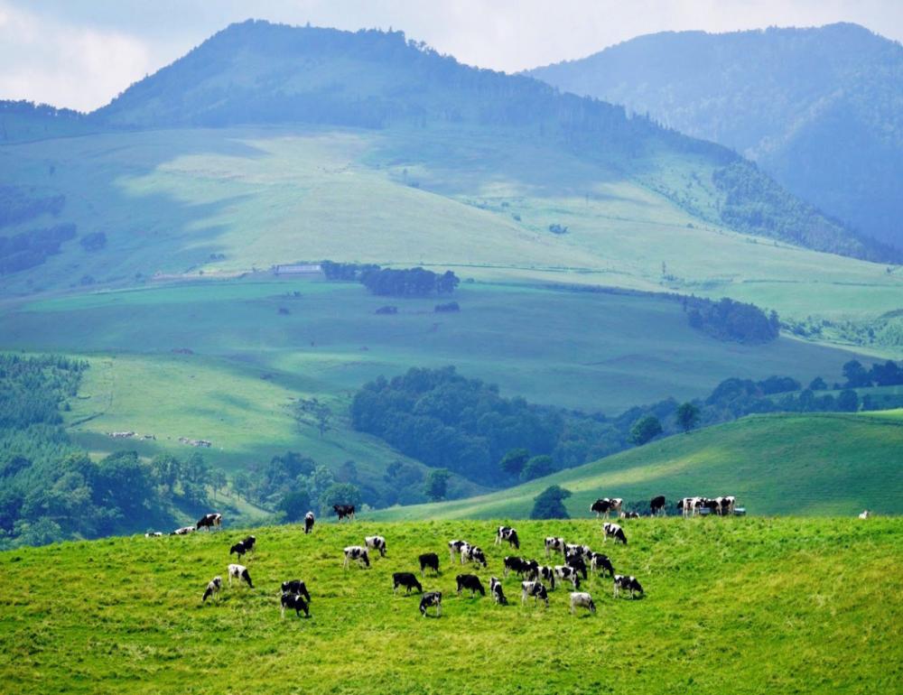 ทัวร์ญี่ปุ่น HOKKAIDO AUTUMN SLOW JOURNEY | COMPAXWORLD
