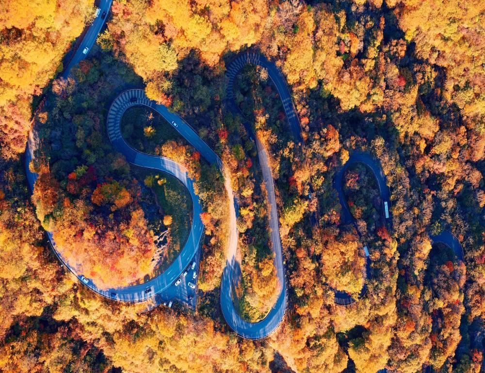 AUTUMN HARMONY JAPAN (NIKKO-AIZU-IBARAKI) | COMPAXWORLD
