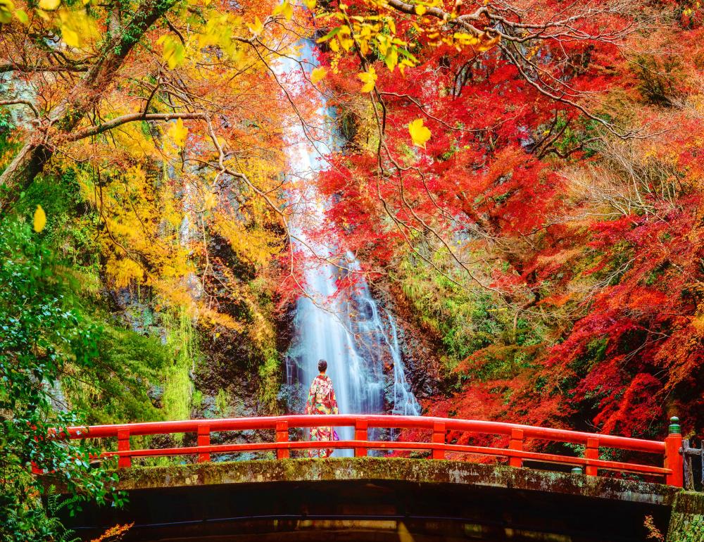 GOLDEN AUTUMN ONSEN ESCAPE  [WAKAYAMA - NARA - OSAKA] | COMPAXWORLD