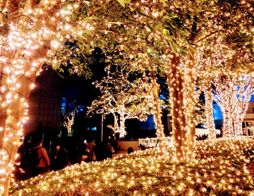 ทัวร์ญี่ปุ่น NEW YEAR WINTER JAPAN (TYO-OSA) | COMPAXWORLD