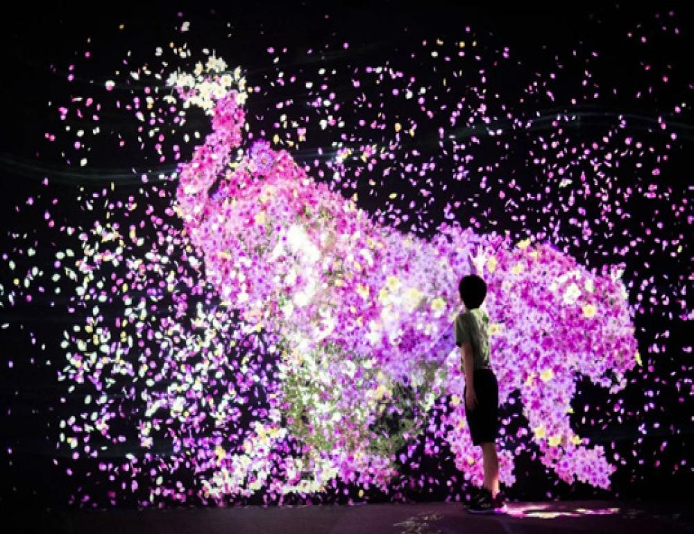 ทัวร์ญี่ปุ่น NEW YEAR UNSEEN KYUSHU (SAGA-NAGASAKI-HUIS TEN BOSCH) | COMPAXWORLD