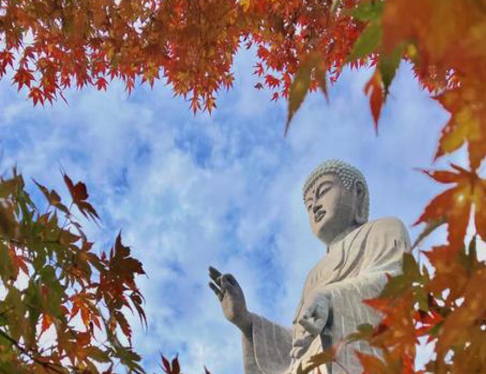 ทัวร์ญี่ปุ่น BEAUTIFUL AUTUMN AT IBARAKI 6 DAYS 4 NIGHTS BY TG | COMPAXWORLD