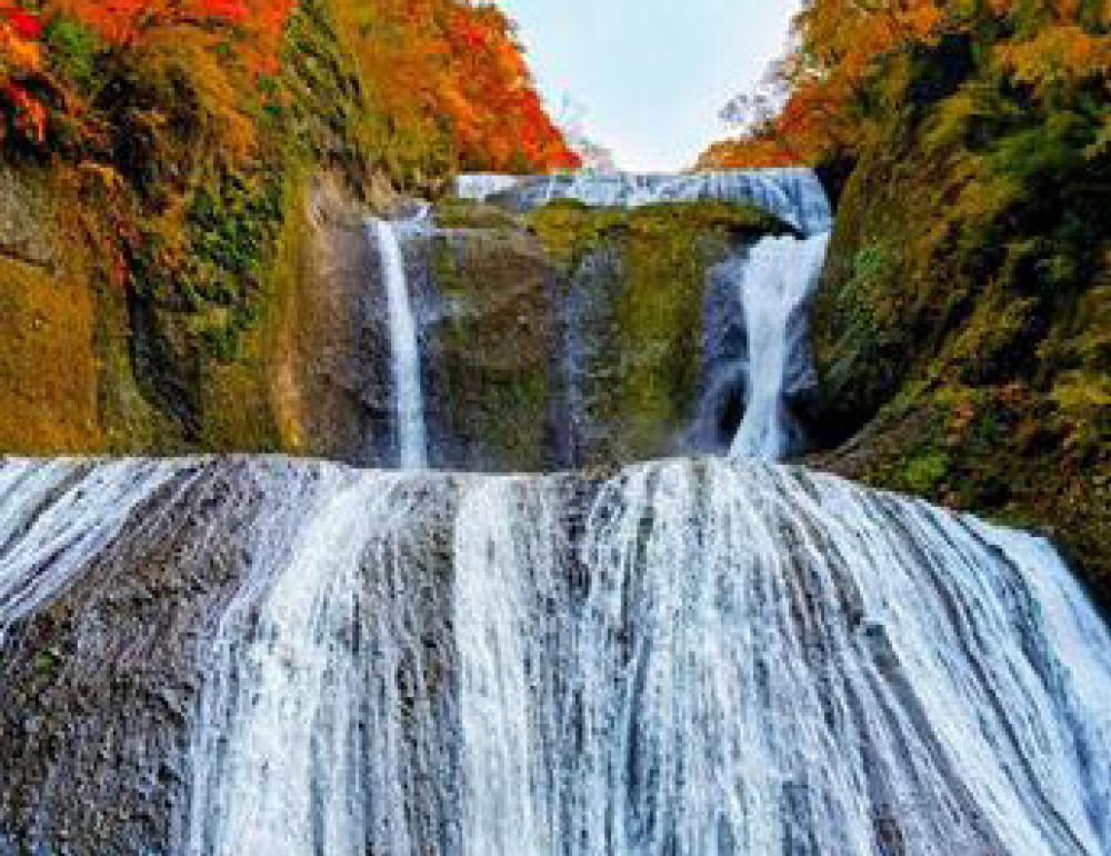 ทัวร์ญี่ปุ่น BEAUTIFUL AUTUMN AT IBARAKI 6 DAYS 4 NIGHTS BY TG | COMPAXWORLD