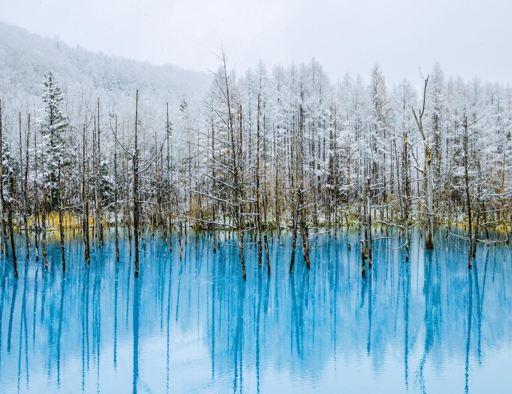 ทัวร์ญี่ปุ่น NEW YEAR MOMENT AT HOKKAIDO | COMPAXWORLD