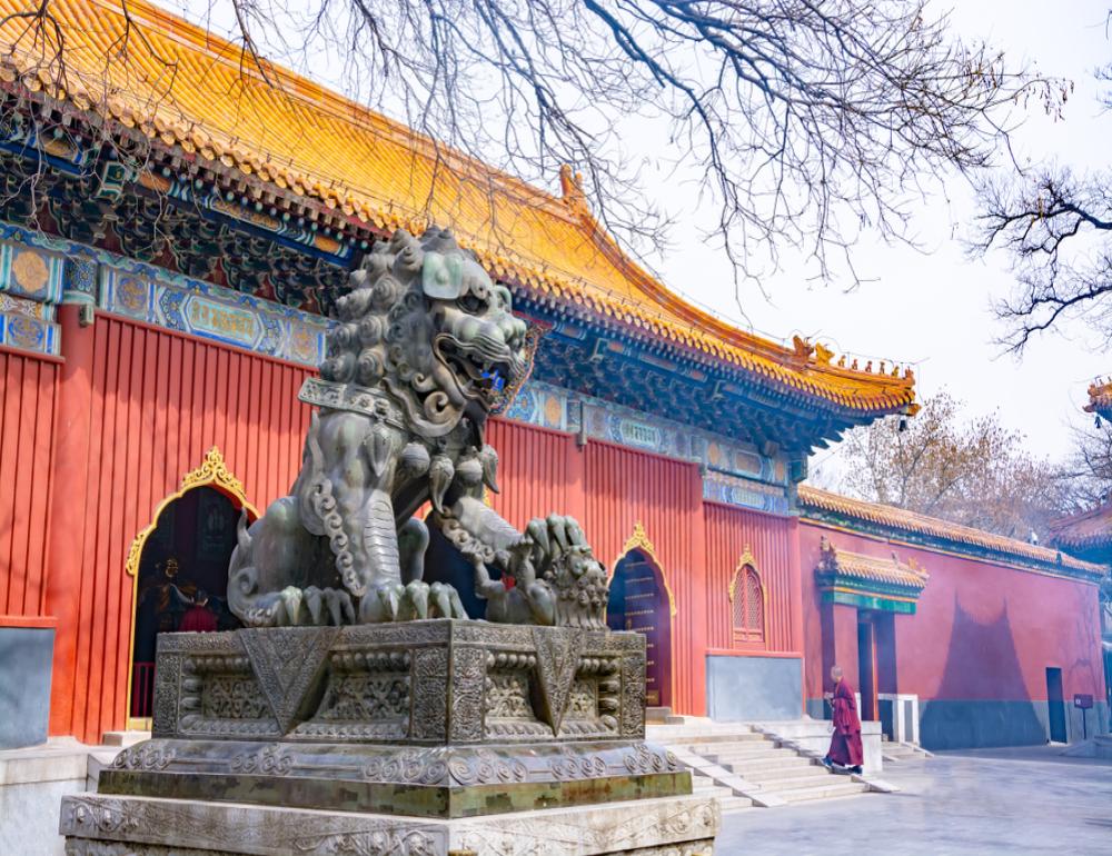 ทัวร์จีนพรีเมียม CHINA IN WINTER(ปักกิ่ง-สกีรีสอร์ท-ยูนิเวอร์แซล) | COMPAXWORLD