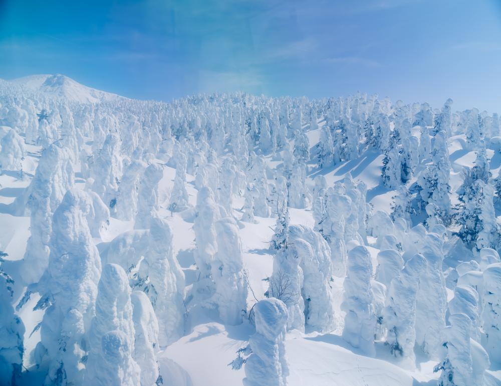 ทัวร์ญี่ปุ่น WHITE WINTER SNOW MONSTER OF ZAO NEW YEAR 2027 | COMPAXWORLD