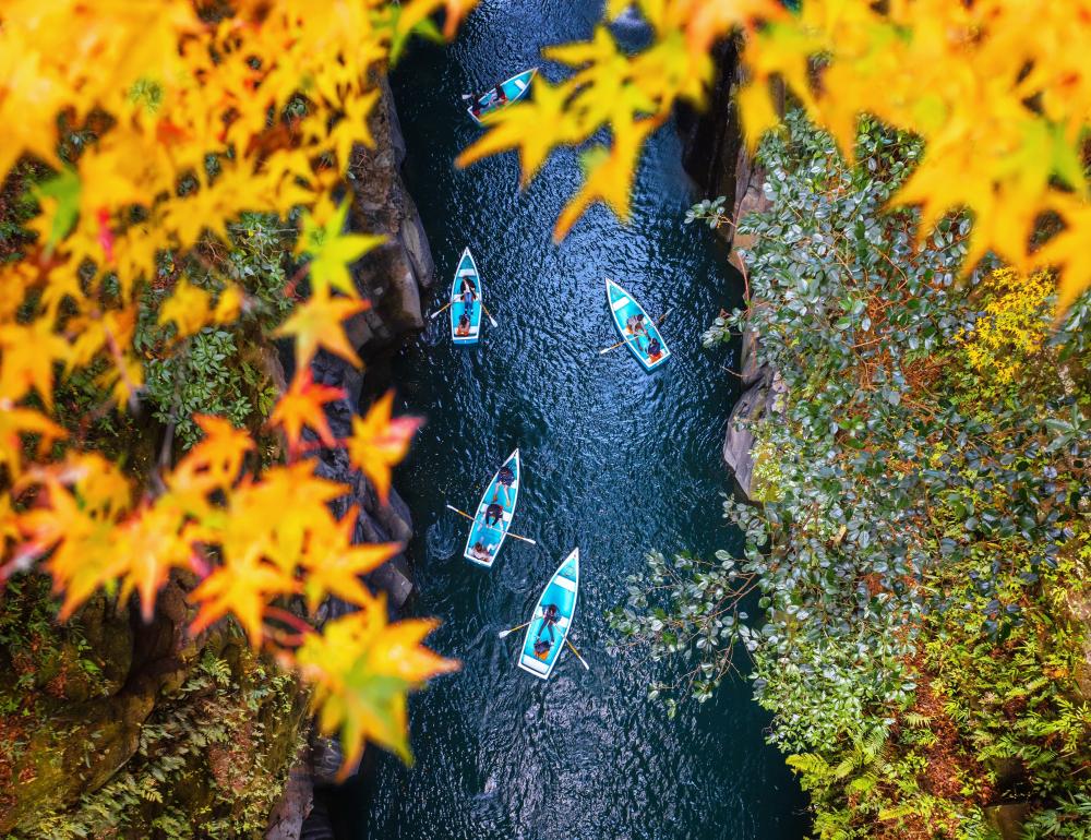 ทัวร์ญี่ปุ่น KYUSHU AUTUMN TAKACHIHO & RAIL KITCHEN CHIKUGO | COMPAXWORLD