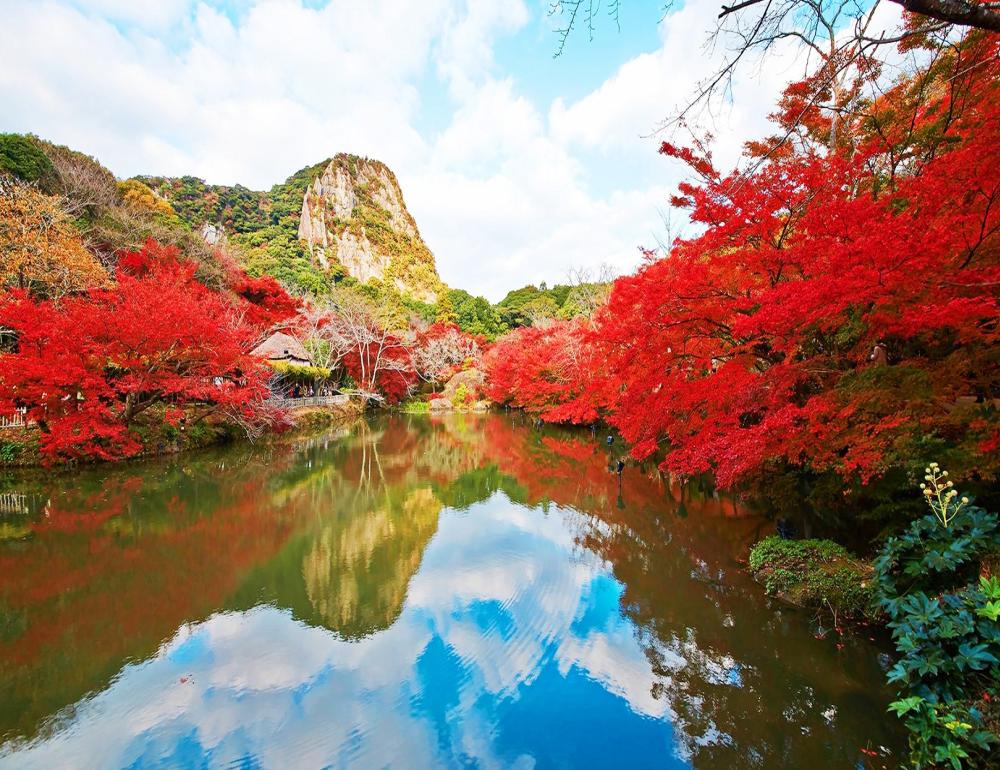ทัวร์ญี่ปุ่น KYUSHU AUTUMN TAKACHIHO & RAIL KITCHEN CHIKUGO | COMPAXWORLD