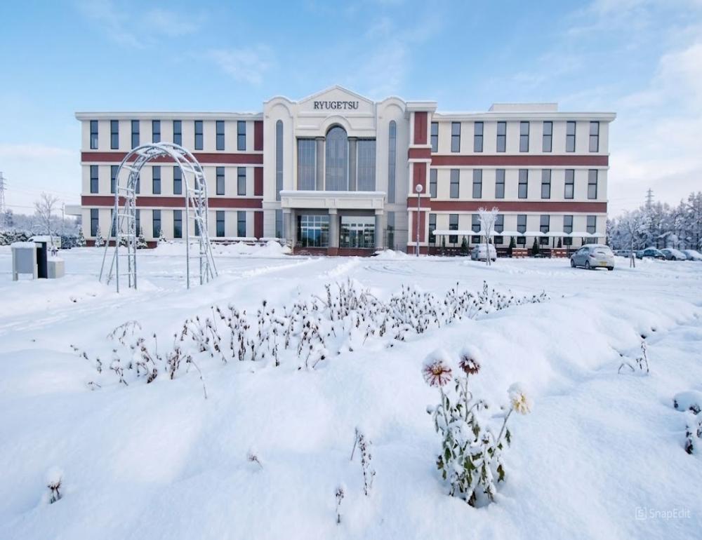 HUSKY SLEDGE ADVENTURE AT HOKKAIDO | COMPAXWORLD