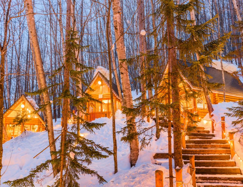 HUSKY SLEDGE ADVENTURE AT HOKKAIDO | COMPAXWORLD