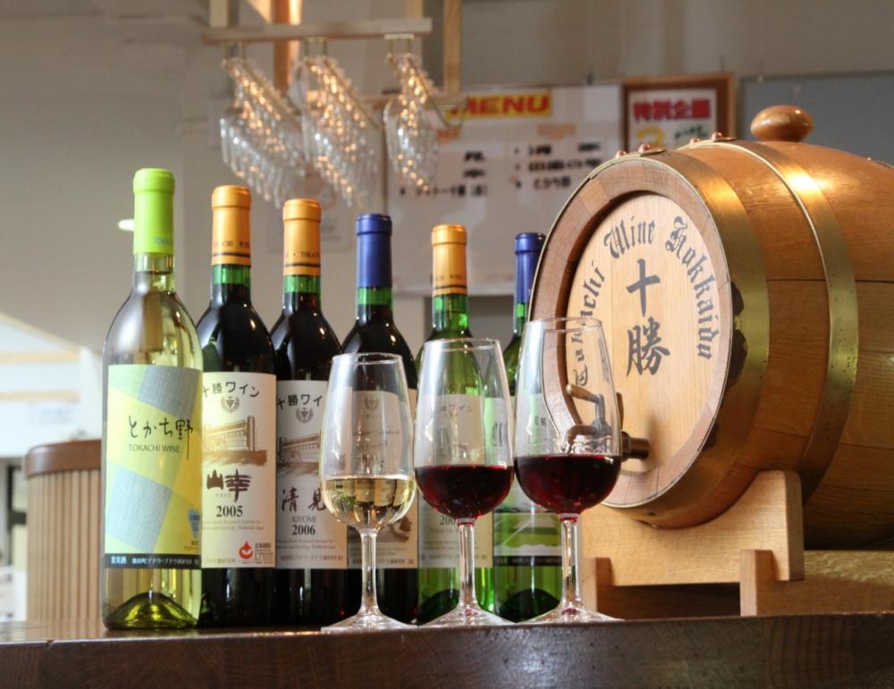 ทัวร์ญี่ปุ่น HOKKAIDO FUN AWAITS AT CLUB MED & ICE BAR (TG) | COMPAXWORLD