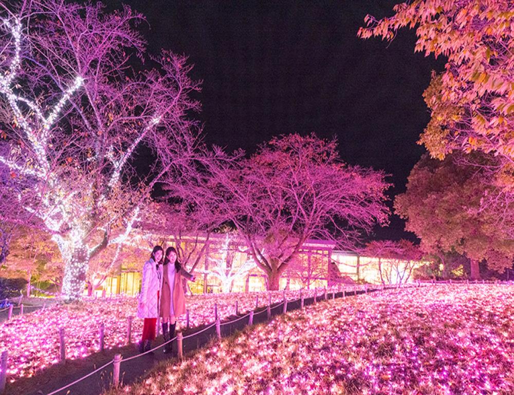 ทัวร์ญี่ปุ่น WINTER MOMENTS OF JAPAN (KYOTO-FUJI-TOKYO) | COMPAXWORLD