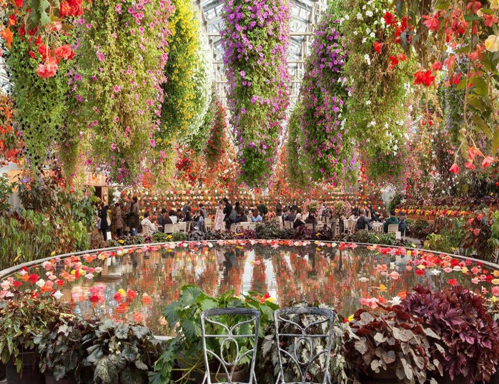 ทัวร์ญี่ปุ่น NEW YEAR 2027 WINTER & FREE DAY | COMPAXWORLD